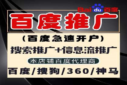 案例对比：不同竞价广告平台的优劣